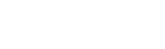 Safety 'n Action